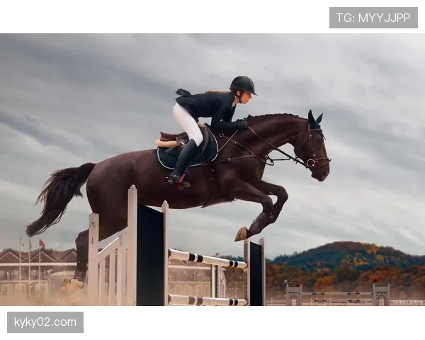 马术障碍赛马不跳障碍转去吃草